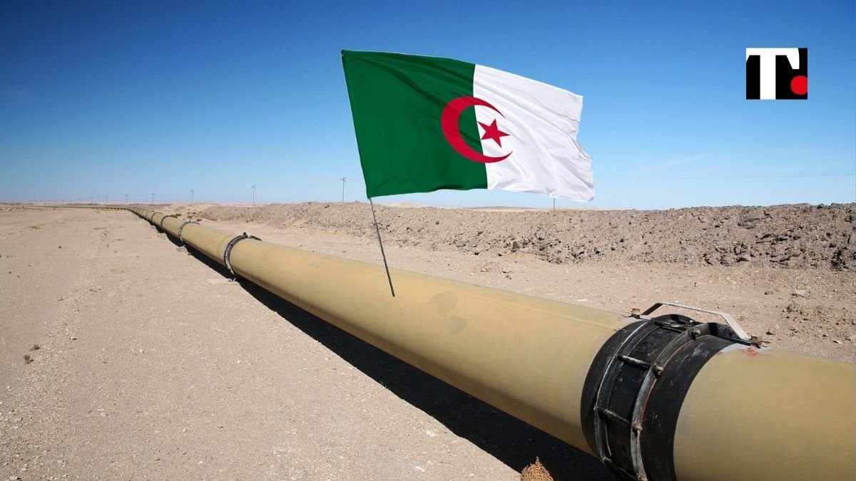 Gasdotto algerino