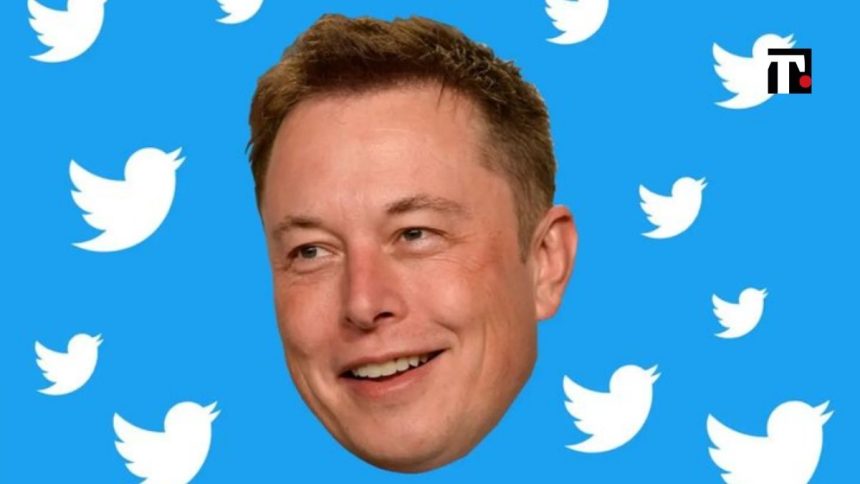 Musk Twitter stop acquisto cosa è successo