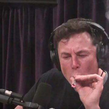 elon musk business plan