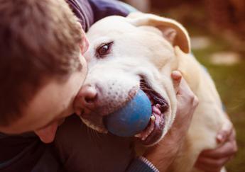 Animali domestici, italiani solidali con donazioni e piccoli gesti