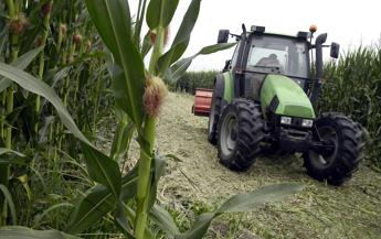 Agricoltura, Ismea: "Scudo polizze' sul 20% produzione lorda vendibile nel 2021"