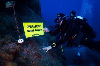 Cambiamenti climatici, mare sempre più caldo e cambia la biodiversità marina