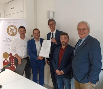 example-55 Vino, il Nobile di Montepulciano è il primo distretto vitivinicolo italiano certificato