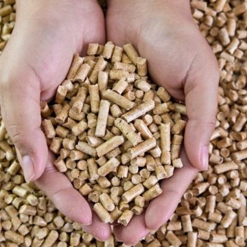 L’alternativa al gas? In inverno potremmo riscaldarci con il pellet. E’ già boom in Italia