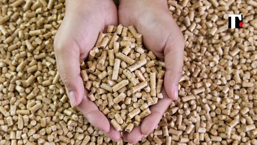 L’alternativa al gas? In inverno potremmo riscaldarci con il pellet. E’ già boom in Italia