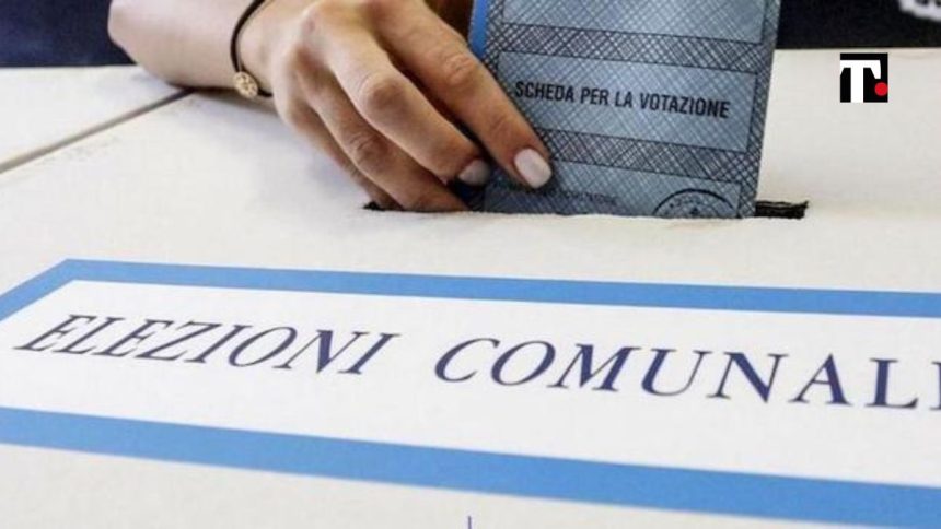 Elezioni comunali Belluno 2022 risultati