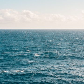 Morti in un incidente due top manager