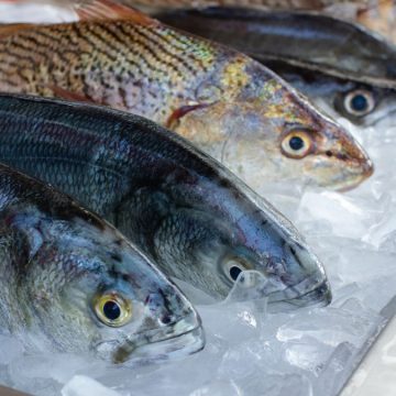 Gubbio pranzo di pesce con dissenteria