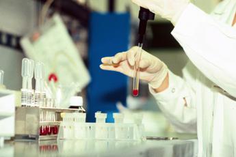 example-132 Tumori del sangue, Roche annuncia risultati positivi per nuovi trattamenti