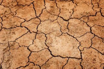 Rischio carestia nel Corno d’Africa