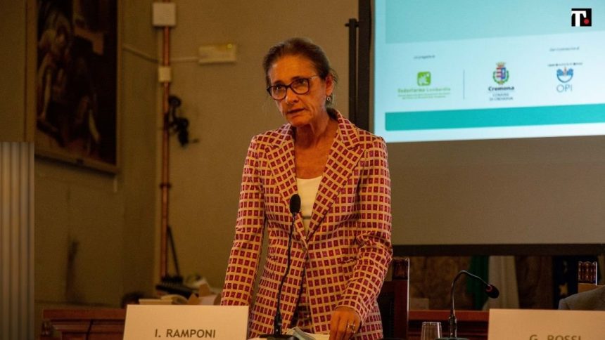 Ida Ramponi (Asst Crema): “Entro il 2024 due Case di Comunità e un Ospedale nel nostro territorio”