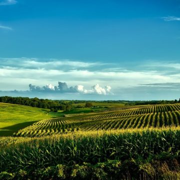 Lombardia acqua sta finendo