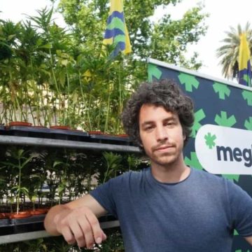 Fdi denuncia Santori: “Punta sulla cannabis per farsi eleggere alla Camera”