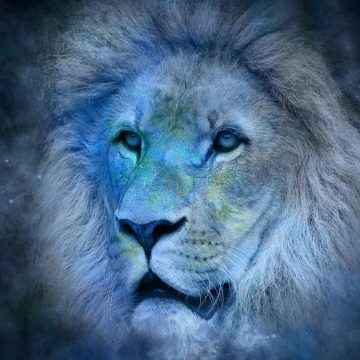 Oroscopo Luna Nuova Leone