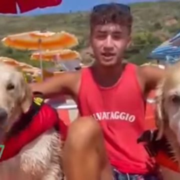 Palinuro cani bagnino