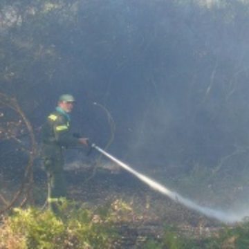 Sardegna incendi