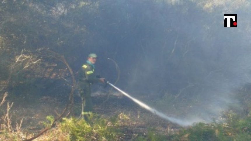 Sardegna incendi