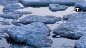 ghiaccio marino antartico valori