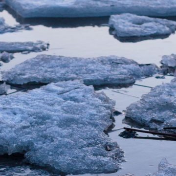 ghiaccio marino antartico valori