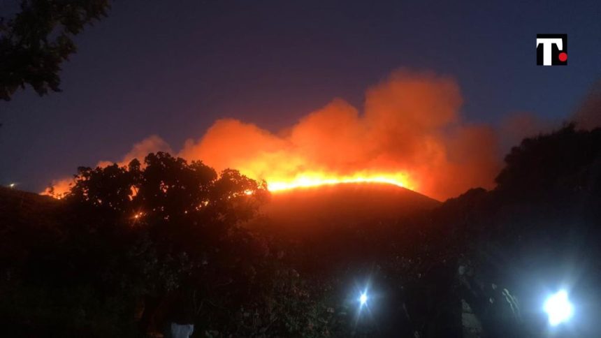 Incendio Pantelleria doloso
