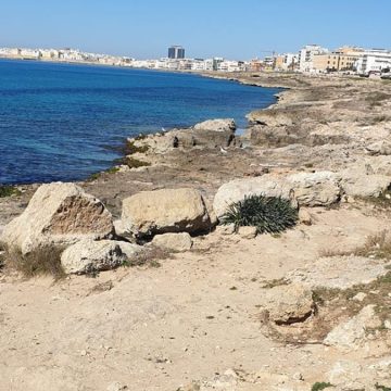 Gallipoli, virus