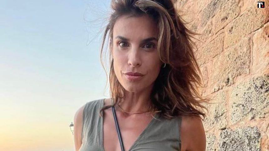 Elisabetta Canalis, polemica