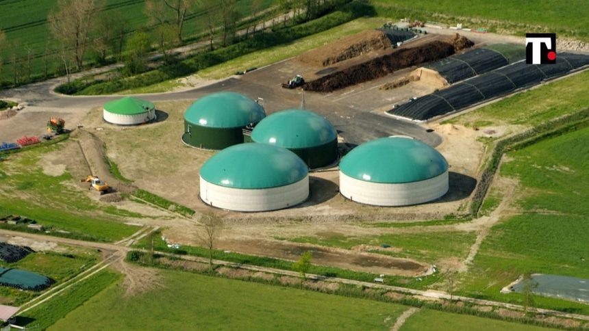 Biogas, la Germania compra umido in mezza Europa e l’Italia prova a difendersi