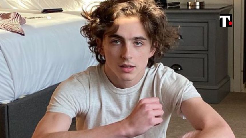 Chi è Timothée Chalamet