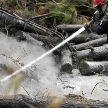Francia, incendi