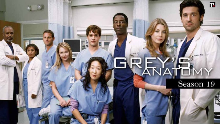 Grey's Anatomy 19