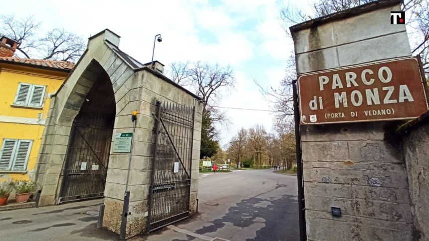 Non solo tifosi ma anche stranieri in cerca di lavoro: ecco cosa accade fuori dall’Autodromo di Monza