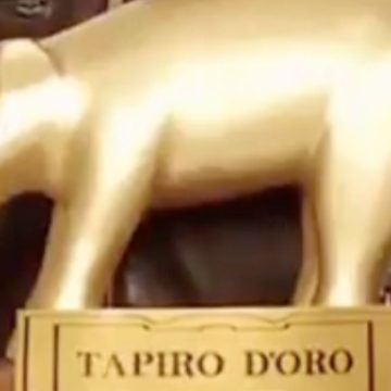 Fedez tapiro d'oro