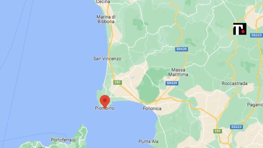 Rigassificatore di piombino tar