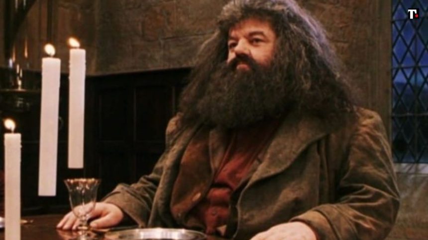 Robbie Coltrane