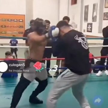 Fusillo e Alex Stana, il match più brutto di sempre: ecco il peggio del peggio di Tik Tok