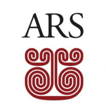 caos maggioranza Ars caos maggioranza Ars