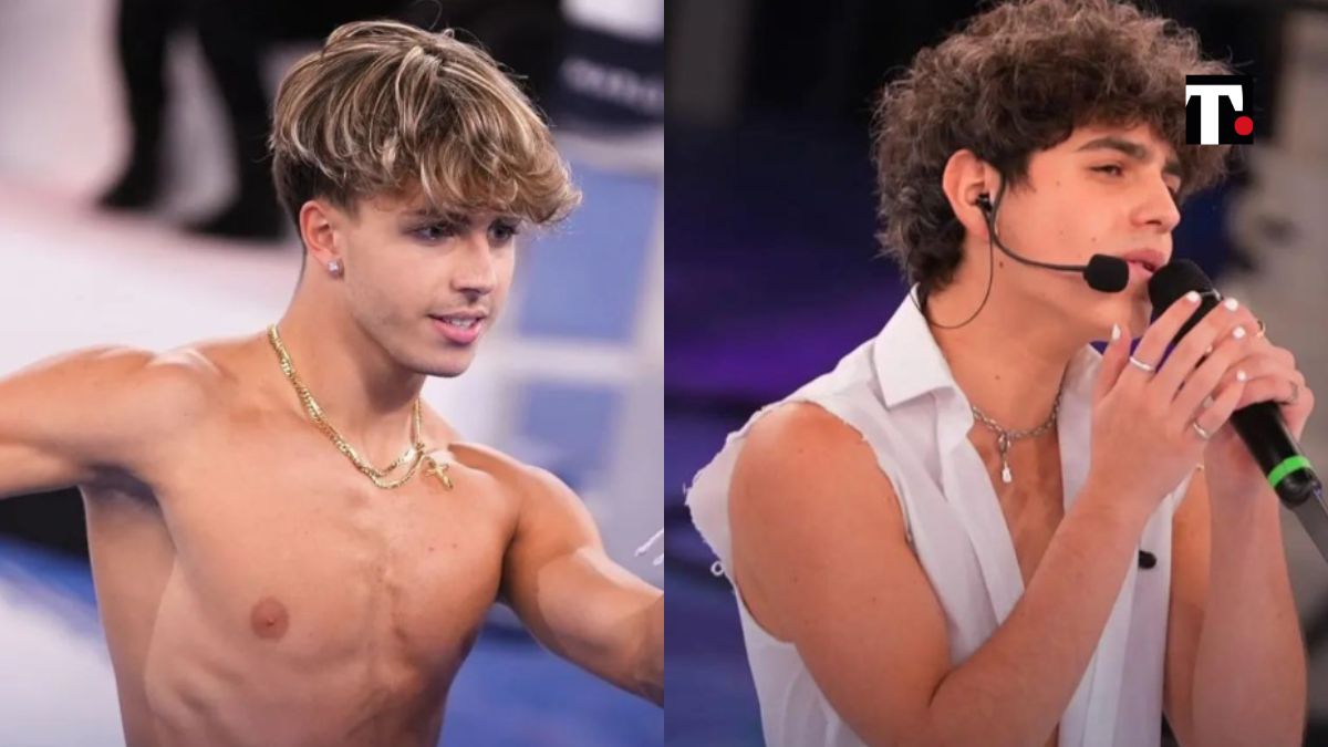 Amici 2022, Mattia Zenzola e Niveo a rischio eliminazione cosa è successo?