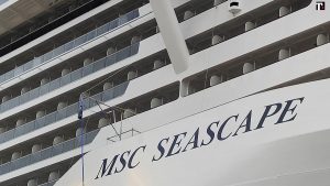 Msc Seascape