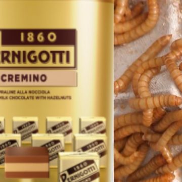 Cioccolatini, larve