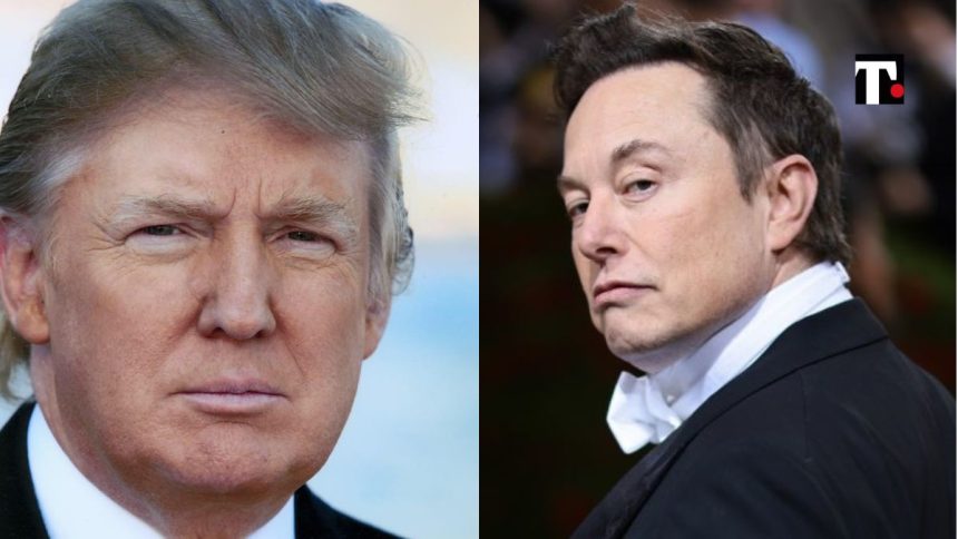 Trump Twitter Elon Musk