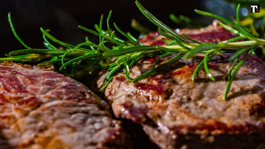 Sorpresa! La carne non è un problema per l’ambiente. Lo dice l’esperto