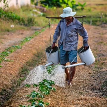 Perché il Mercosur è importante, e non solo per gli agricoltori