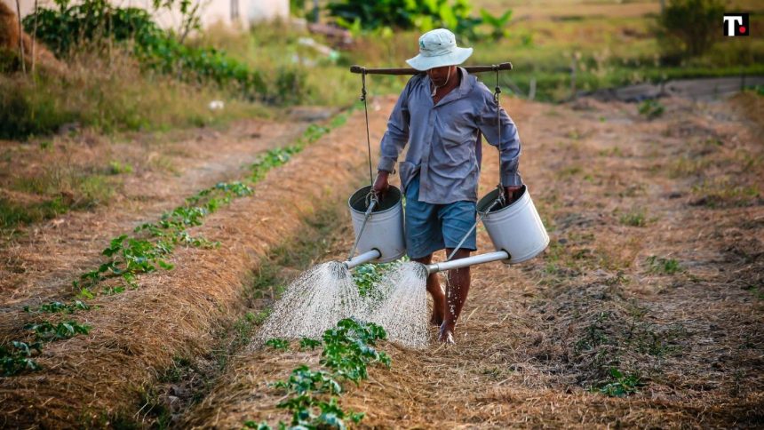 Perché il Mercosur è importante, e non solo per gli agricoltori