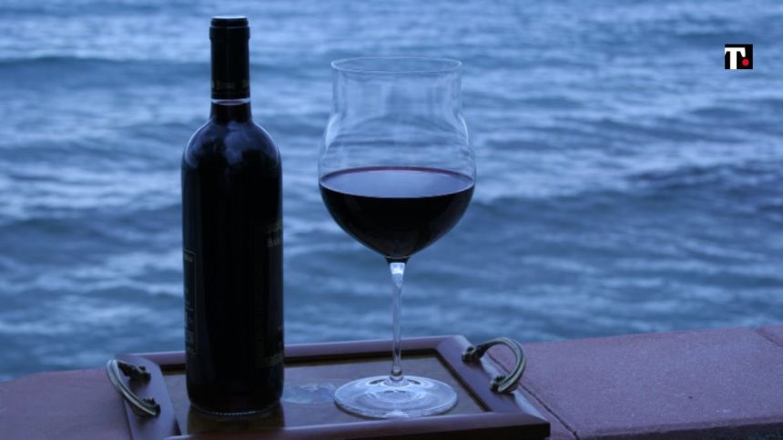 Sicilia Vino