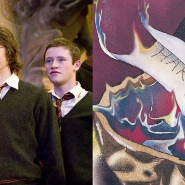 Harry Potter Calice Fuoco differenze libro film