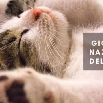 Giornata del Gatto