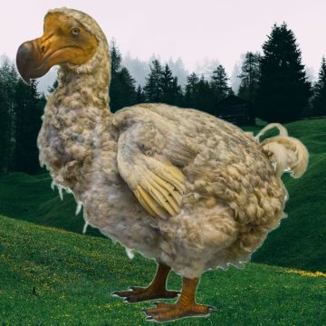 Chi muore si rivede… I mammut stanno per tornare, e pure il dodo