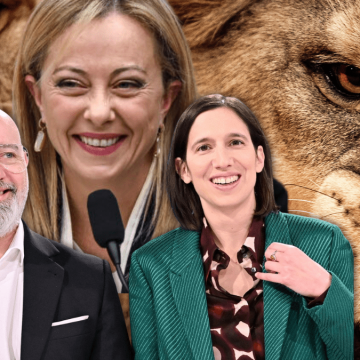 Primarie PD, hic sunt leones!