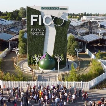 Cucina tradizionale o molecolare? Gli chef del futuro si formano con FICO e Italian Food Academy