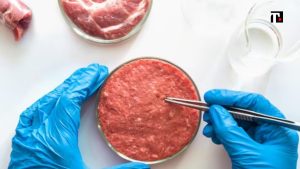 Meat sounding, Lollobrigida tra Coldiretti e Union Food